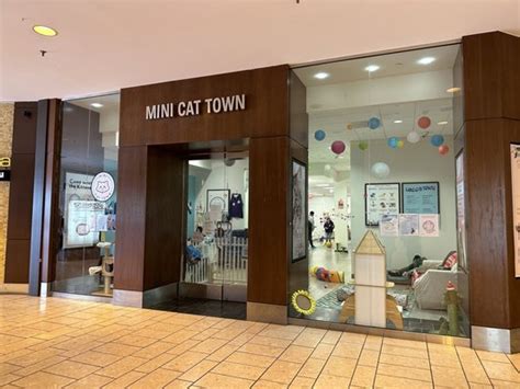 cat cafe stoneridge mall  Daily (12PM-7PM) *Last group enters 30 min before closing* Stoneridge Shopping Center Address: 1 Stoneridge Mall Rd Spc D122A, Pleasanton CA 94588 Email: