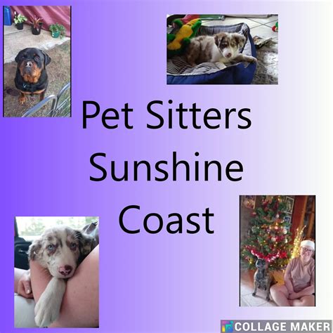 cat sitter sunshine coast  Book a pet sitter to stop by your home a few times a day to feed and play with your pet