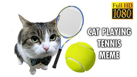 cat tennis unblocked  Whether you're on a break or have a spare moment, this game is perfect for Chromebook