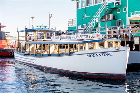 catalina glass bottom boat  There’s nothing like an exciting journey through Catalina's pristine wilderness aboard an open-air biofuel Hummer