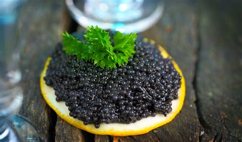 caviar escort Benning expects his lab-grown caviar to be significantly less expensive than traditional caviar as he hopes to produce large amounts in a shorter time