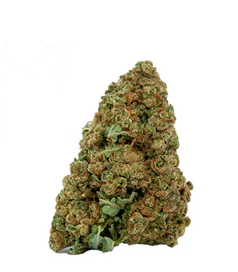 cbd jack herer seeds  The aroma of these marijuana plants smells of pine and pepper with woodsy undertones