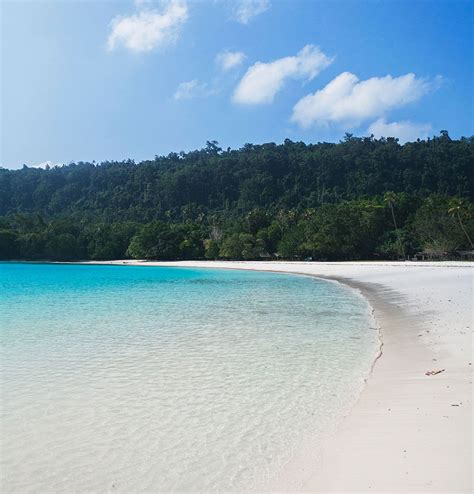 champagne beach holidays The beach is a short drive down the coast from Roseau just below Point Michel