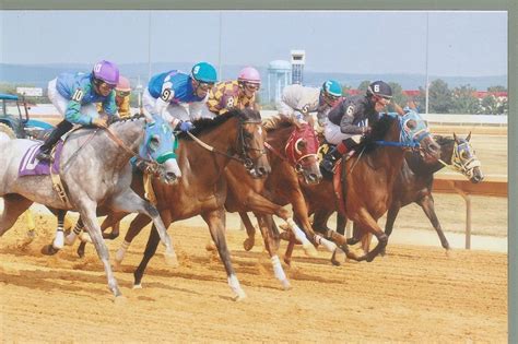 charlestown race track results com, your official source for horse racing results, mobile racing data, statistics as well as all other horse racing and thoroughbred racing information