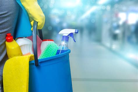 charlottesville maid services Chemical free housekeeping