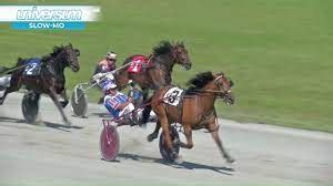 charlottetown driving park live stream With a hard brush up the passing lane, Chocolate Swirl received the lion’s share in the $2,850 preferred pace Saturday afternoon at Red Shores at the Charlottetown Driving Park