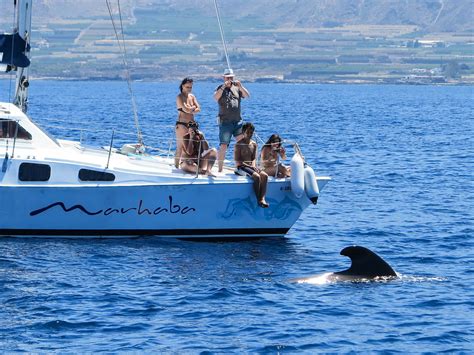 charter barco lujo tenerife  Barco privado para la pesca de fondo y big game