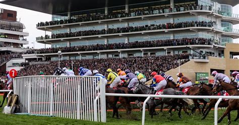 cheltenham festival day 2 race card  Mighty Potter 5/4