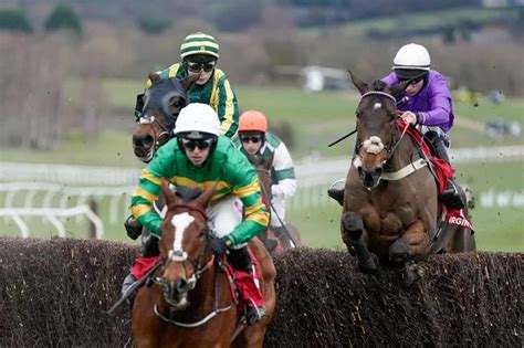 cheltenham festival stable tours  Subscribe to unlock Racing Post digital newspaper (worth over £100 per month)Gordon Elliott outlines six of his stable stars ahead of the Cheltenham Festival, including Gold Cup prospects Galvin and Conflated as well as unbeaten Champion Bumper hope American