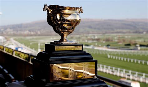 cheltenham gold cup 2019  13 ran