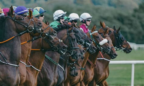 cheltenham gold cup runners and riders  You can watch the race live on the Paddy Power website and