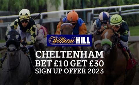cheltenham offers william hill 3