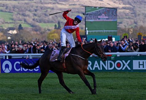 cheltenham offers william hill  Check out the William Hill Naps Table for expert daily picks