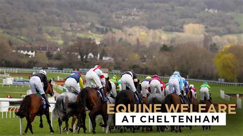 cheltenham race fixtures  Racing 4h