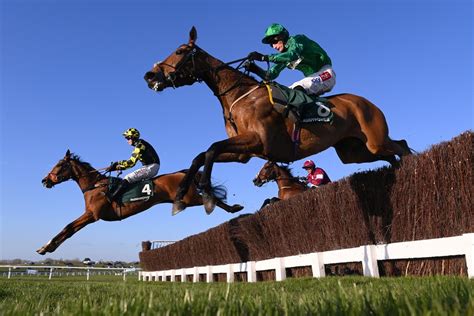 cheltenham results day 1 Cheltenham day one results