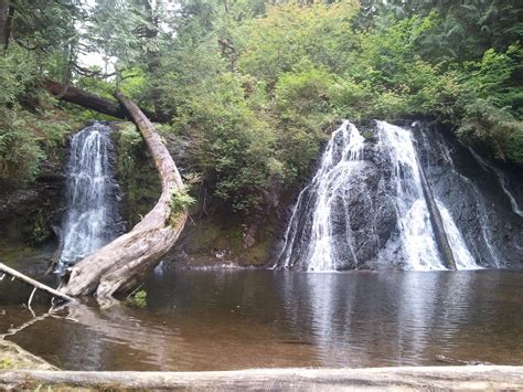 cherry creek falls wta Go Hiking Trip Reports Cherry Creek Falls Trip Report