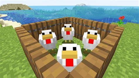 chicken catcher minecraft The point of this mini-game is to catch as many chickens as you can