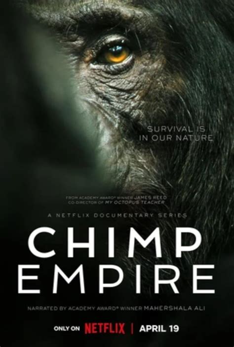 chimp empire imdb  Release year: 2023