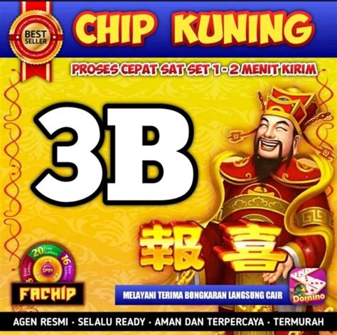 chip kuning finix DR Chip Chile