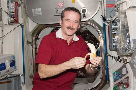 chris hadfield net worth  His lucky number is 9