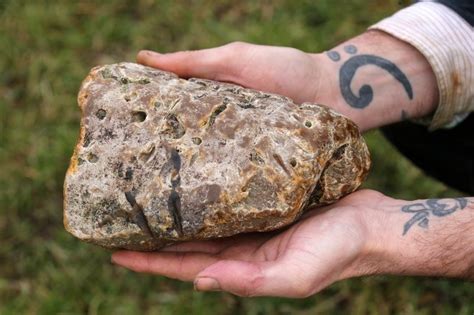 chunk of ancient ambergris  Chunk of Ancient Ambergris US OR EU I Want to Sell