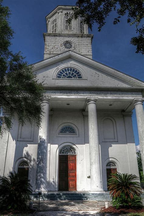 church street charleston  sheep