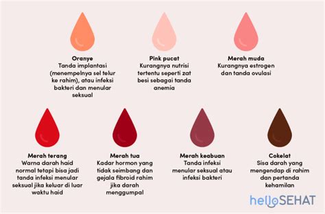 ciri haid  Hal ini bisa terjadi akibat perubahan hormon dan makanan yang Anda konsumsi