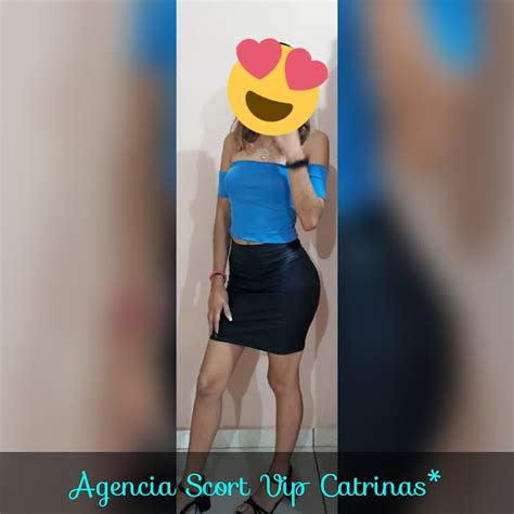 citas scort  Las mejores escorts están en Skokka, compruébalo! - Distrito Federal, sexoservidoras