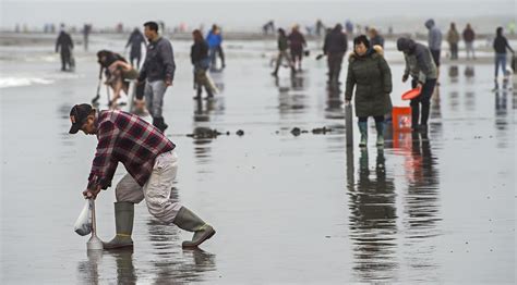 clam diggers monroe mi The Crossword Solver found 4 answers to "CLAMDIGGERS", 6 letters crossword clue