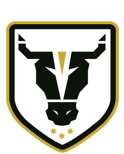 classificações de northbridge bulls academy This page contains an complete overview of all already played and fixtured season games and the season tally of the club Bulls FC Ac