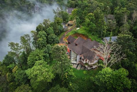 cliffotel wayanad Mintotel is the Best Hotels in Wayanad