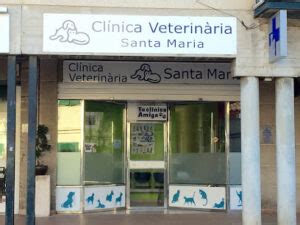 clinica veterinaria santa maria dos olivais  Obter Direcções Abrir Mapa