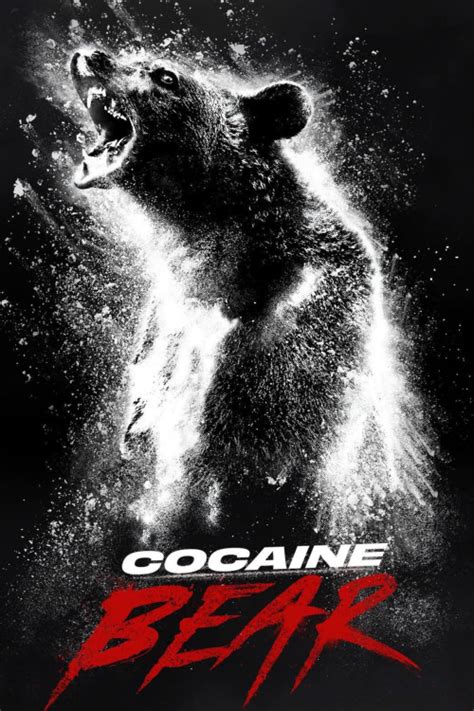 cocaine bear qartulad Considering the bear was shot multiple times, experienced a big fall down a rock ledge, and ingested a lethal amount of drugs, the Cocaine Bear’s survival in the 2023 horror-comedy movie is pretty unbelievable