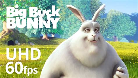 completo big buck bunny  The Blender Foundation's "Big Buck Bunny" in 1080p