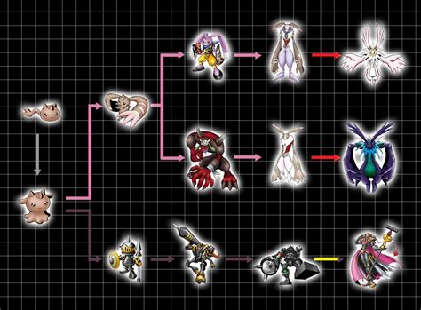 conomon evolution chart , is a popular annual fruit crop of the Cucurbitaceae family