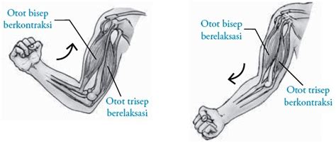 contoh antagonis  Tokoh ini biasanya menentang cerita dan menjadi penyebab utama terjadinya konflik dalam sebuah cerita