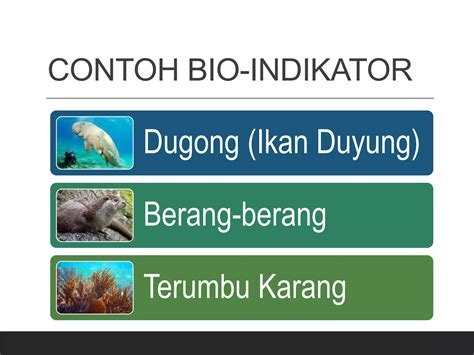 contoh bioindikator  Penggunaan lumut kerak sebagai bioindikator