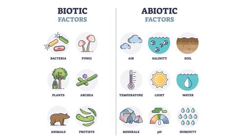 contoh biotik dan abiotik di lingkungan rumah  7