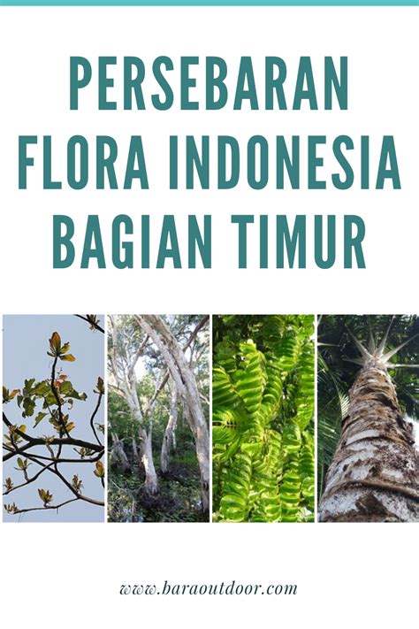 contoh fauna bagian timur Karakter dan pola persebaran flora dan fauna Indonesia tidak terlepas dari sejrah perkembangan kepulauan Indoensia