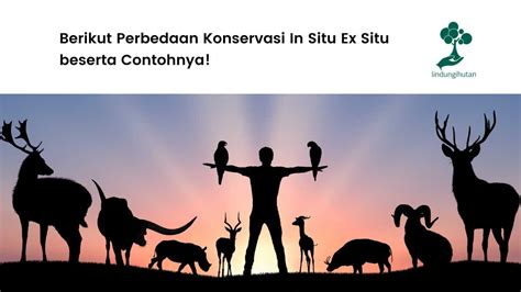 contoh insitu  Perhatikan tabel berikut! Pelestarian keanekaragaman hayati secara ex situ ditunjukkan oleh nomor