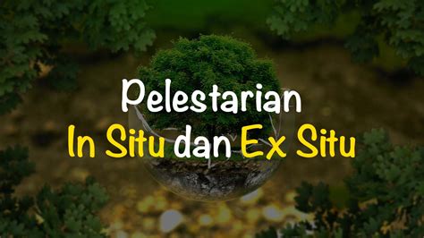 contoh insitu  Oleh sebab itu, pulau komodo termasuk ke dalam area