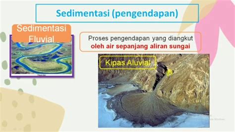 contoh sedimentasi marine Contoh Batuan Sedimen Marine, Contoh sedimen marine adalah pasir pantai seperti pasir putih, pasir besi sepanjang pantai selatan pula jawa