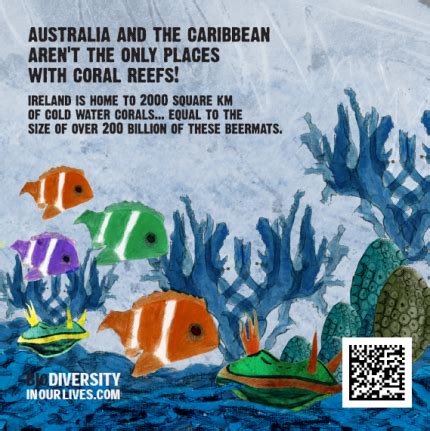 coral_reef1 leaks  Oil spill in Mauritius calls for more efforts to safeguard coral reef ecosystems