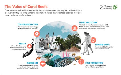 coral_reef1 videos  Climate, reefs, and resilience Climate change and ocean acidification--which can result in coral bleaching events, slower growth and reproduction rates, and degraded reef structure--are the most pressing global