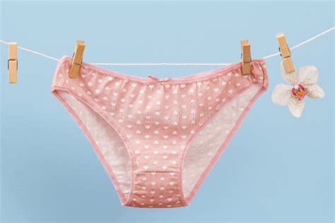 Hanes Women's Underwear Pack, High-Waisted Cotton Brief Panties