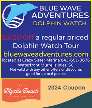 coupons for myrtle waves  +18439139250