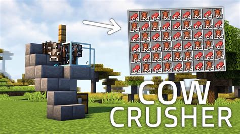 cow crusher 1.20 This is a tutorial that shows how to make a simple cow farm / cow crusher in Minecraft Java Edition