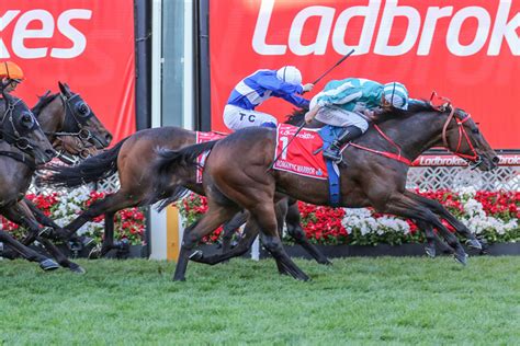 cox plate quaddie  Promote