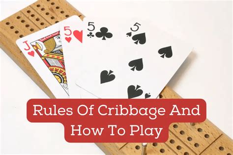 cribbage flush 