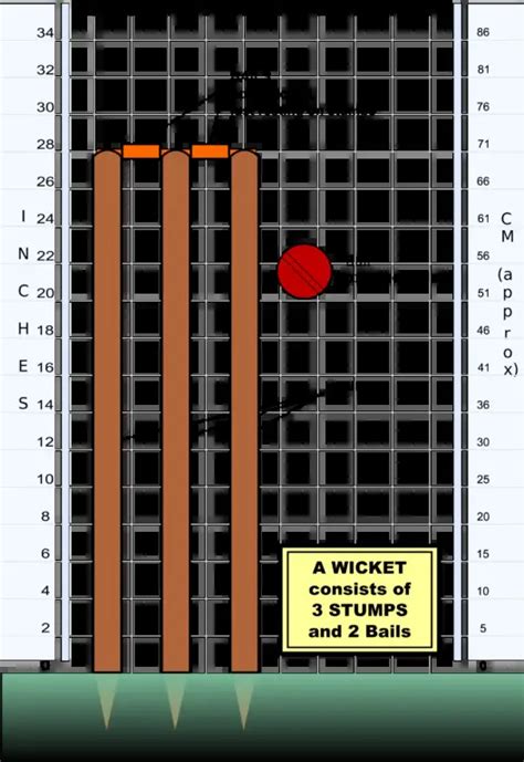 cricket stump height in feet 81 cm) in diameter and 1CricketCricket Stump Height